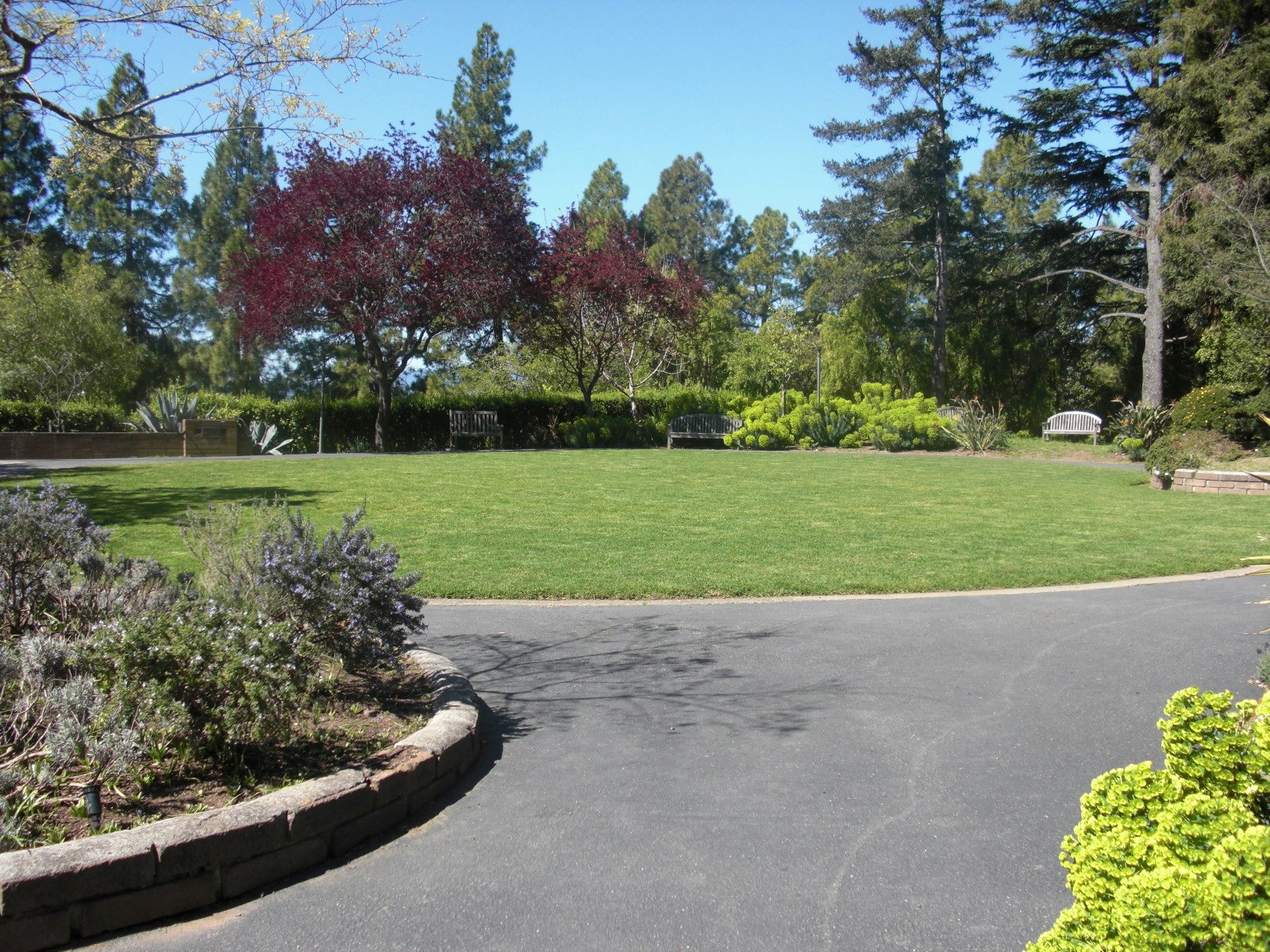 Grassy Lawn in Front of Center