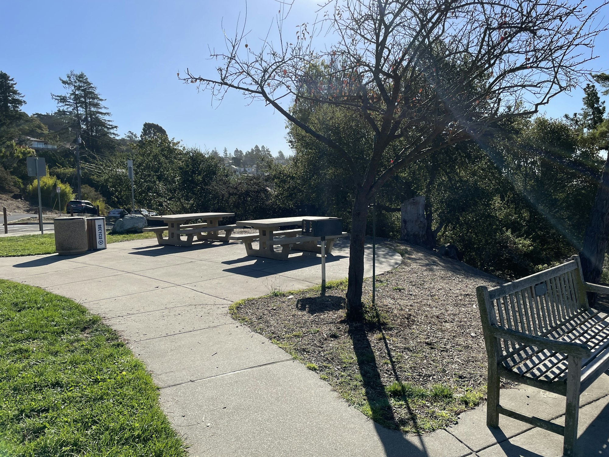 Park area with benches, picnic tables, a tree, and a trash can; sunny day with clear sky.