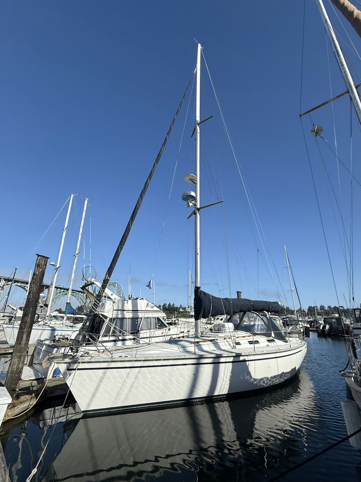 Sailboats docked at a marina with clear blue skies and reflections in the water.