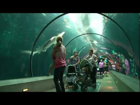 Oregon Coast Aquarium tank view hallway