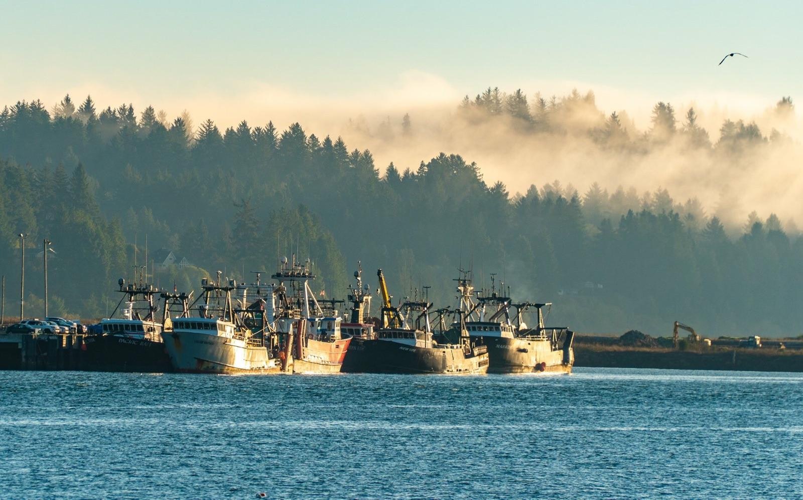Fishing boats docked at the International Terminal