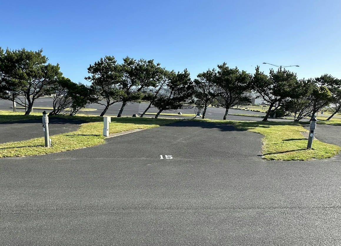 A sunny parking lot with slanted trees and numbered parking spots.