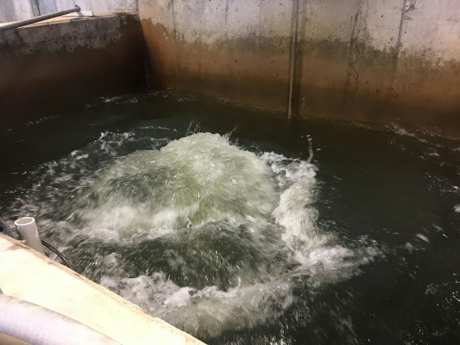 water