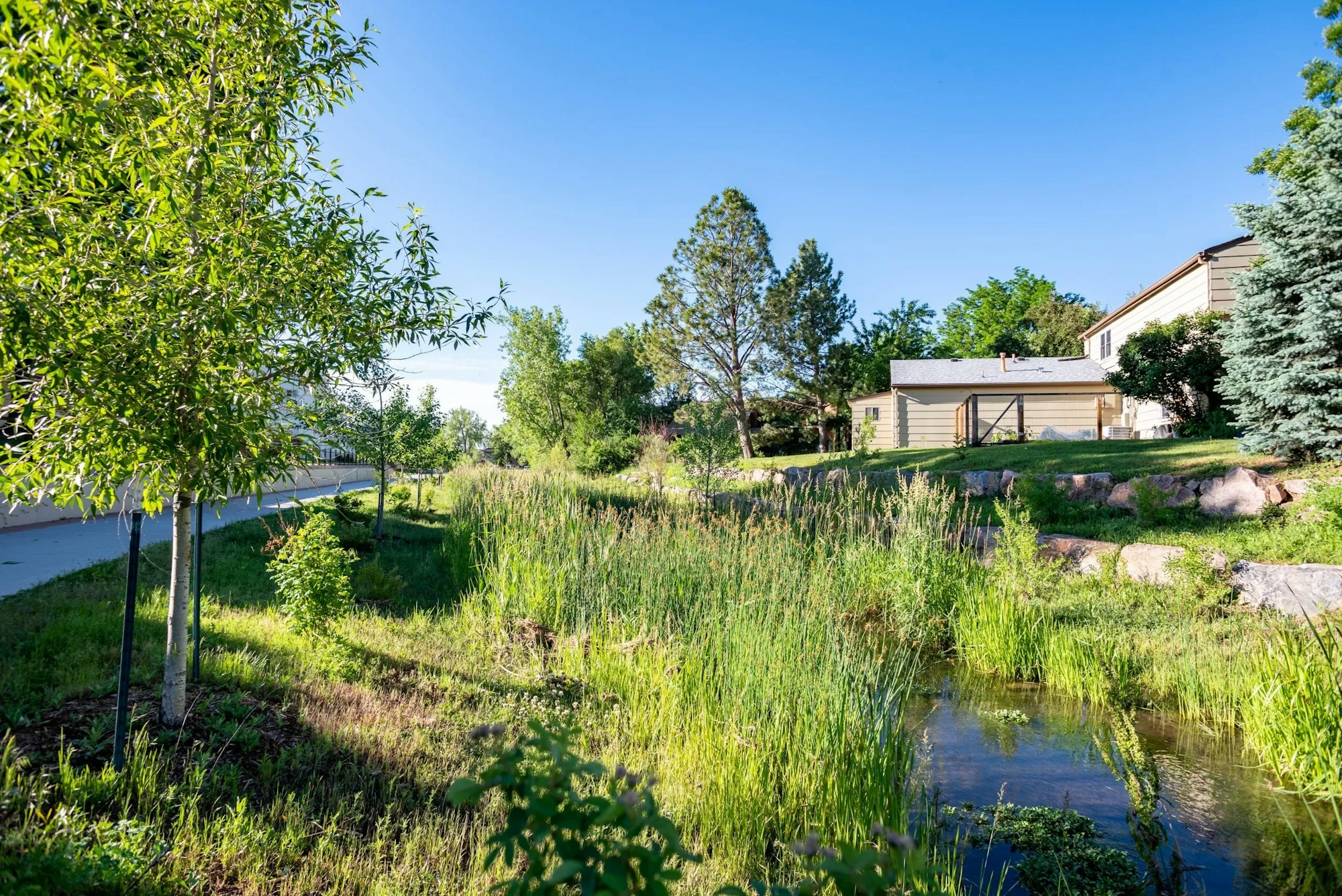A serene suburban scene with a house, greenery, a small creek, and a clear blue sky.