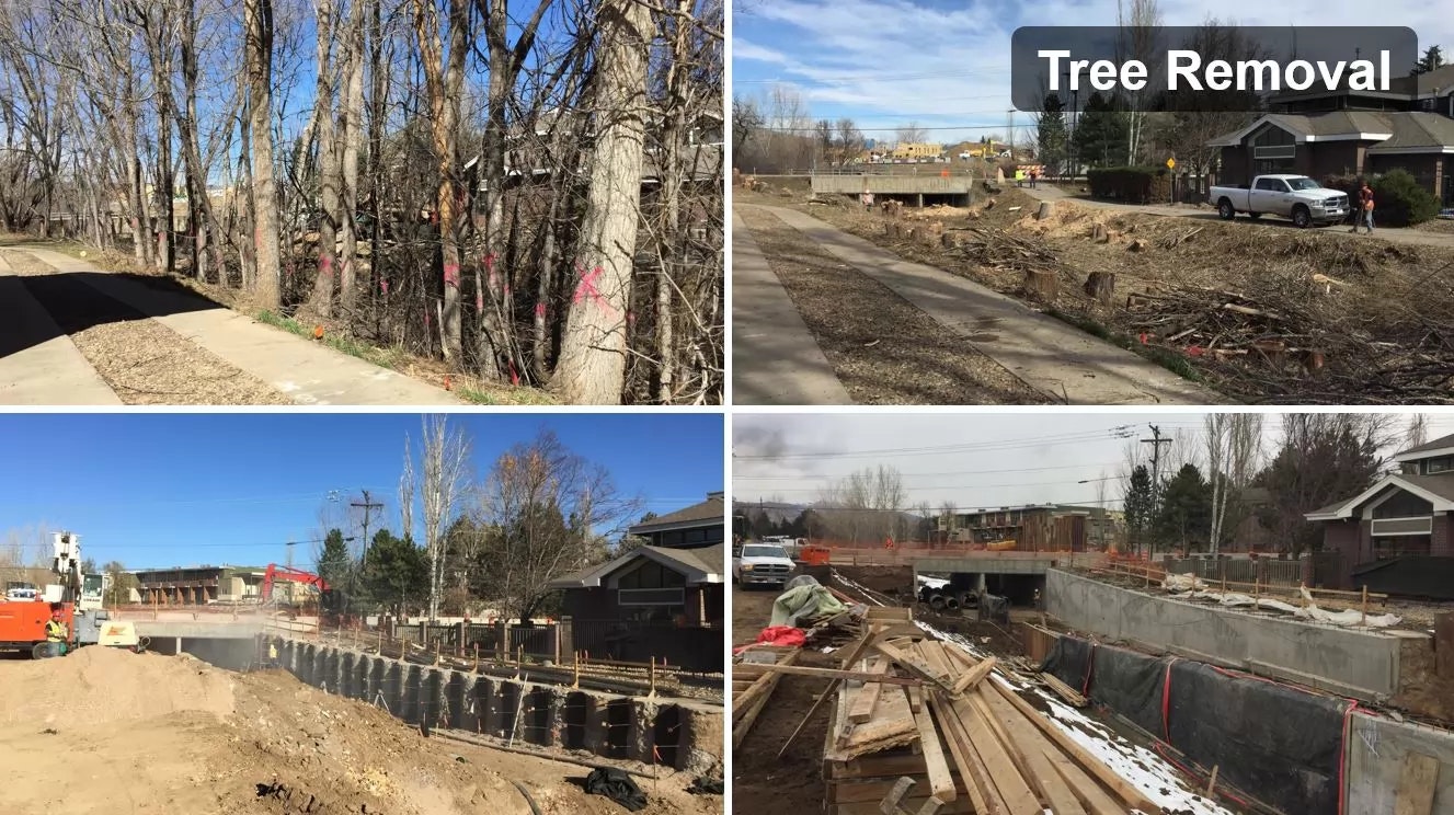Before-and-after stages of tree removal and ongoing construction work.