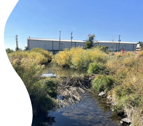 Stream with bushes and an industrial building in the background.