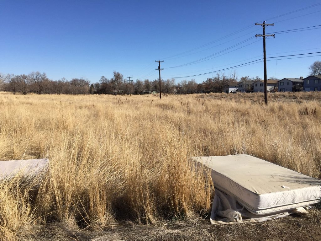 A dry grassy field with discarded mattresses, a clear blue sky, and houses in the background.