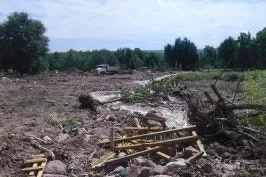 Rural landscape with debris, possibly from a cleared lot or demolition, with trees in the background and overcast sky.