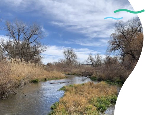 A peaceful river meandering through a natural landscape with grassy banks under a blue sky with clouds.