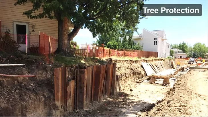 Construction site with trench, tree protection measures, and safety fencing.