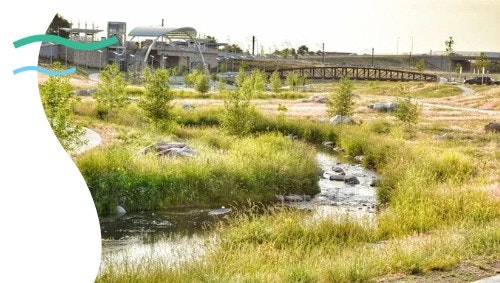 An industrial facility in the background, with a small stream and greenery in the foreground.