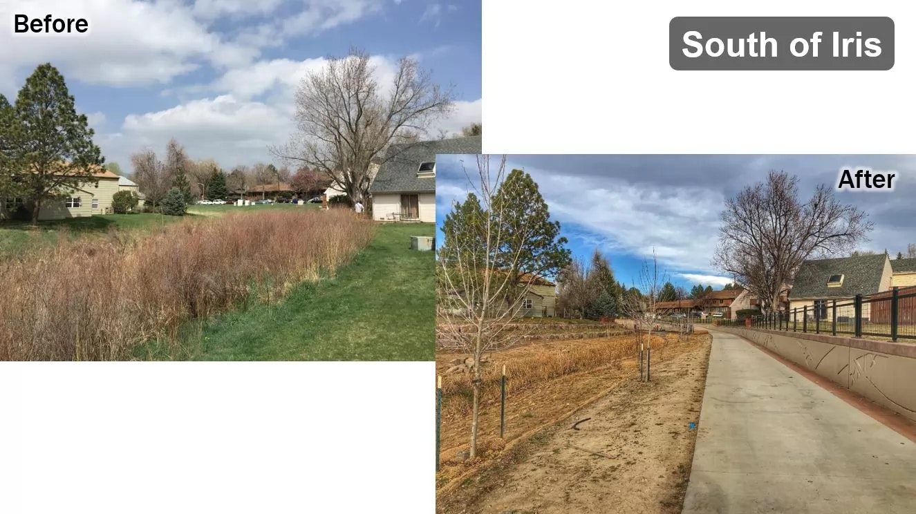 A "before and after" comparison of a landscape featuring grassland transformed into a pathway with young trees.