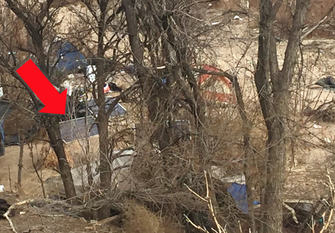 Tree branches with a blurred background showing structures and debris, a red arrow pointing towards an unclear area.
