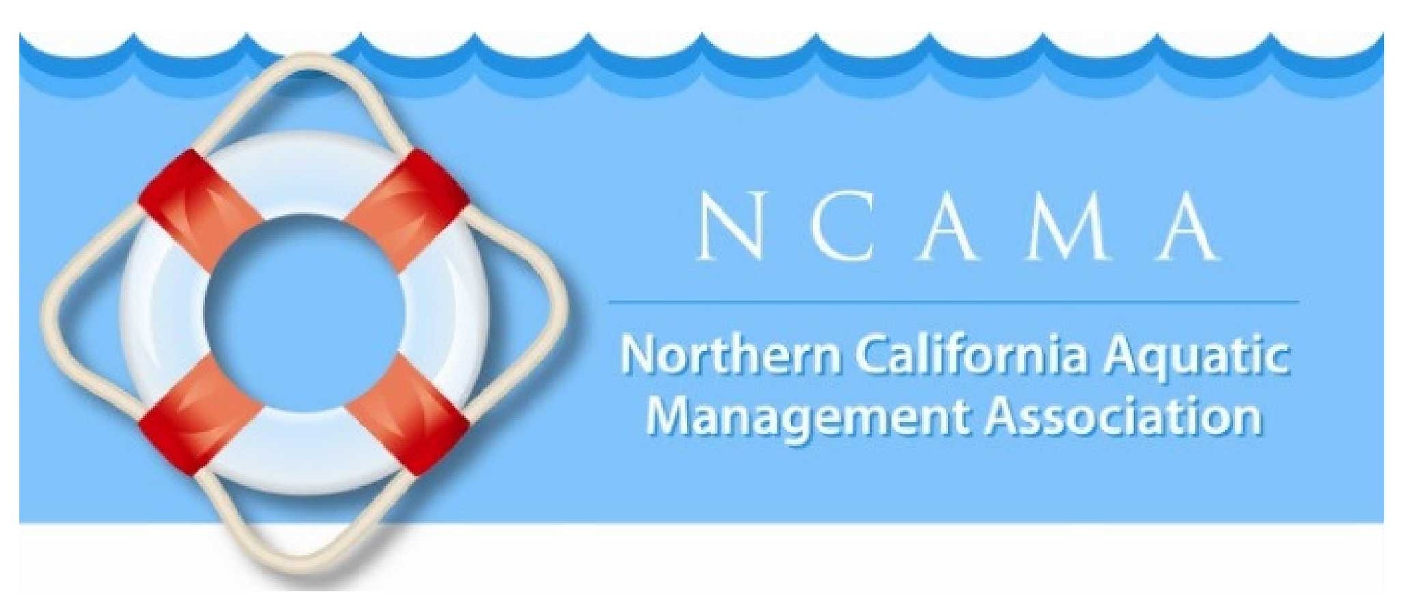 May contain: water and life buoy