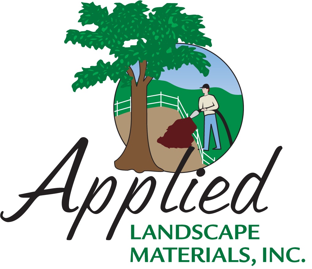 May contain: tree and plant