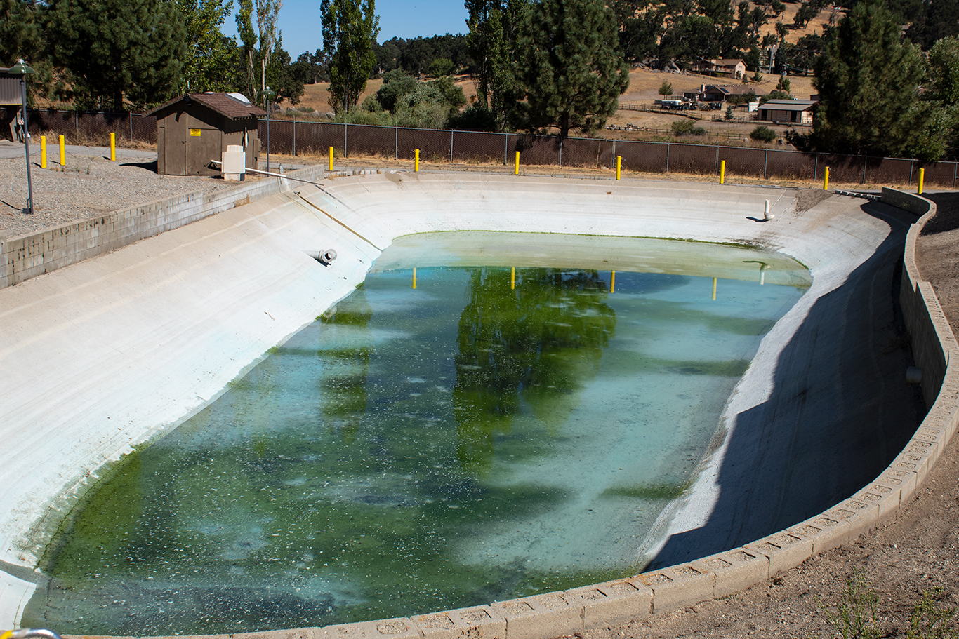 A partially filled, algae-covered pool with reflections, surrounded by trees and a small shed nearby.