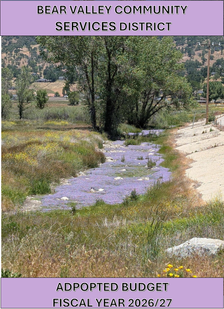 The image features a scenic landscape with a stream surrounded by greenery and flowers, labeled with budget details for Bear Valley Community Services District.