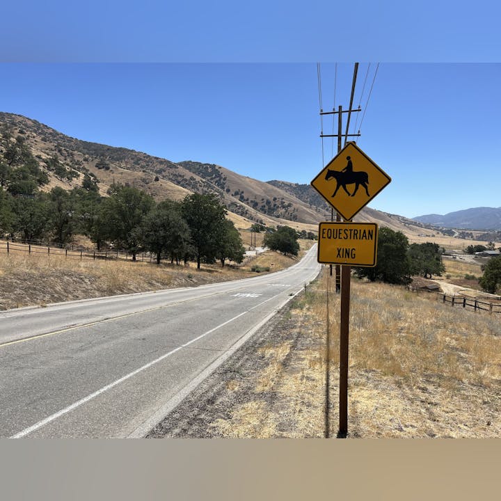 Empty road with an "Equestrian Xing" sign, hilly landscape and trees in the background.