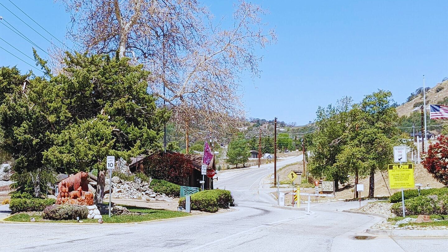 A road with signs, trees, a bear statue, and an American flag in a rural setting under a clear blue sky.