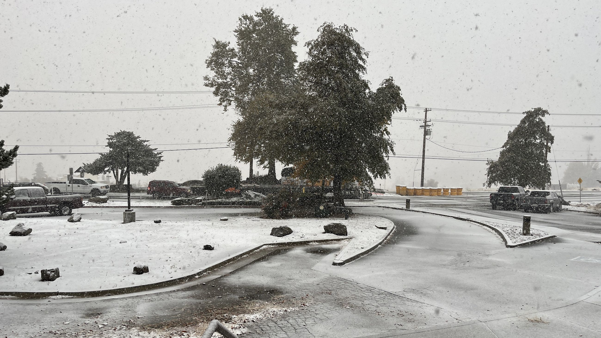 Snowfall in a parking lot with trees, cars, and light accumulation on the ground.