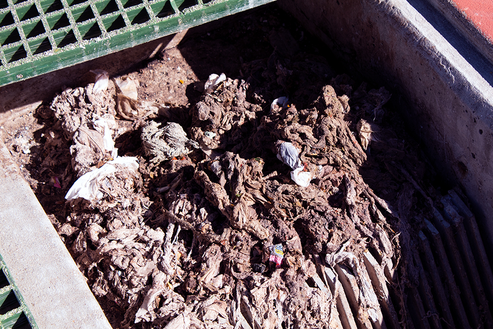 Pile of wet, tangled debris and trash collected in a drainage area with a green metal grate above.