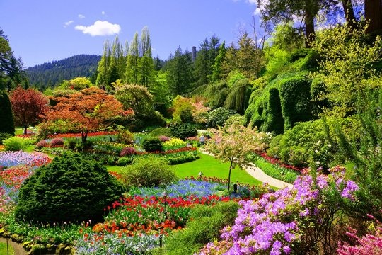 A vibrant garden filled with colorful flowers, lush greenery, and trees under a clear blue sky, creating a serene landscape.