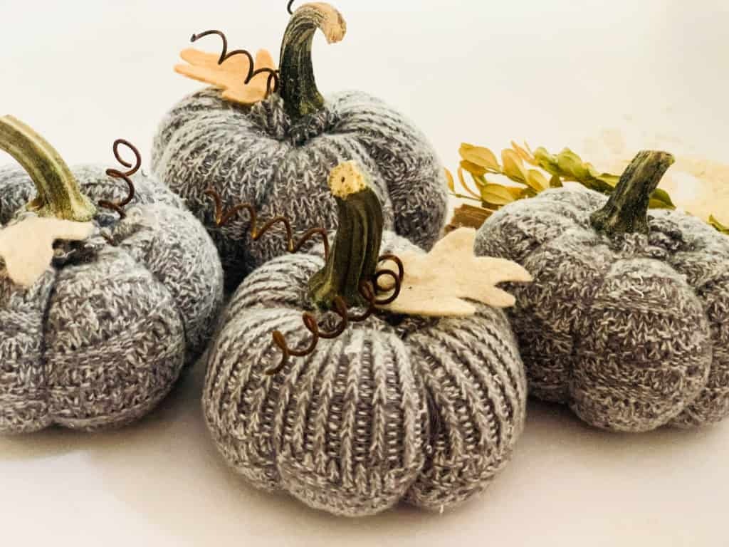 Knitted pumpkins with real stems, decorative spirals, and leaf accents on a white background.