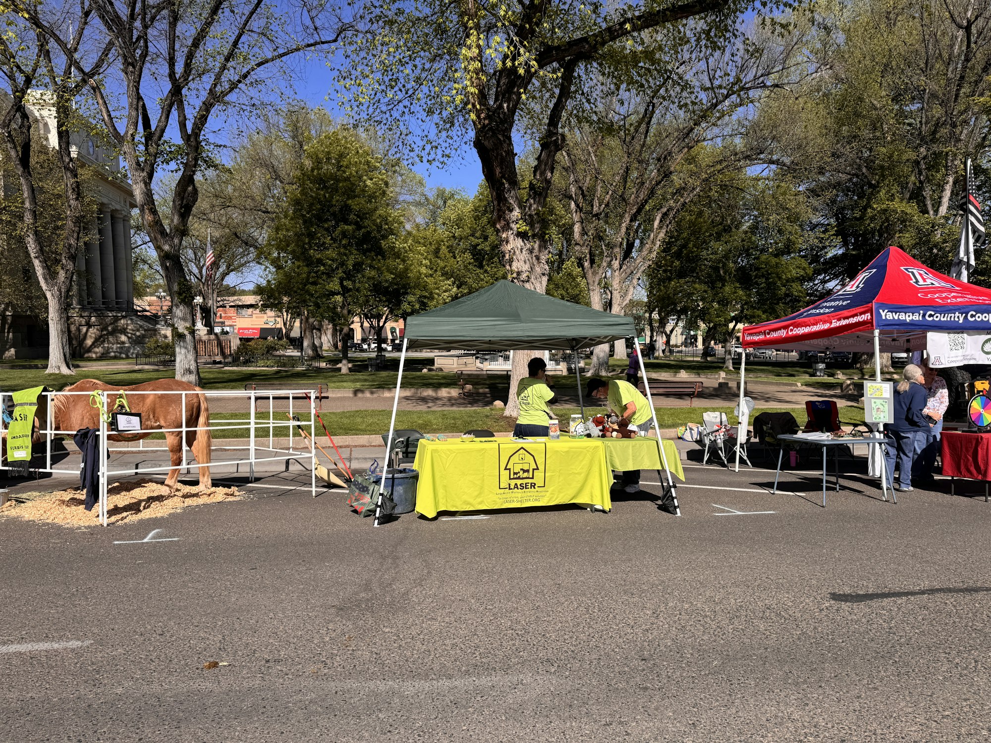The image shows a community event with a horse, informational booths, and people interacting in a park setting.