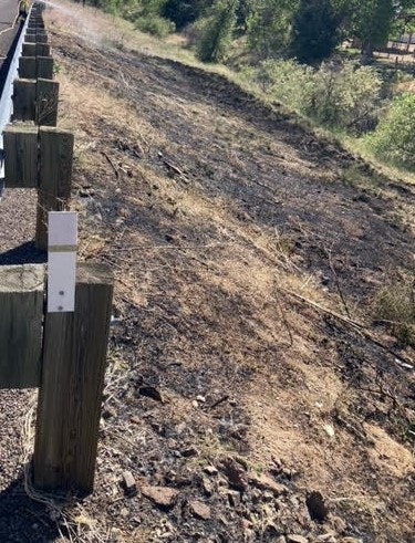 A fence beside a dry, grassy area with trees in the background.