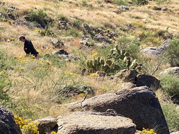 May contain: rock, plant, vegetation, nature, outdoors, wilderness, grass, adult, male, man, person, adventure, hiking, leisure activities, animal, bird, vulture, clothing, and hat