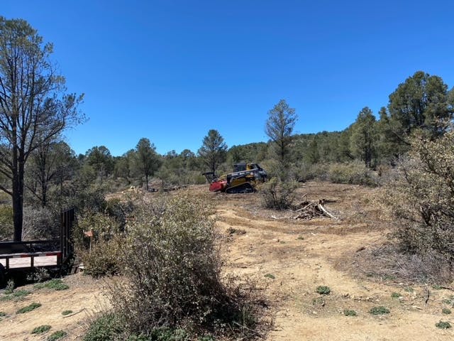 A construction vehicle clearing brush in a forested area under a clear blue sky.