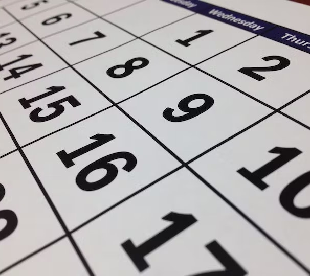 May contain: calendar