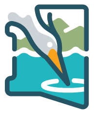 A stylized Fountain Creek Watershed District logo with graphic of a bird diving into water within a frame.