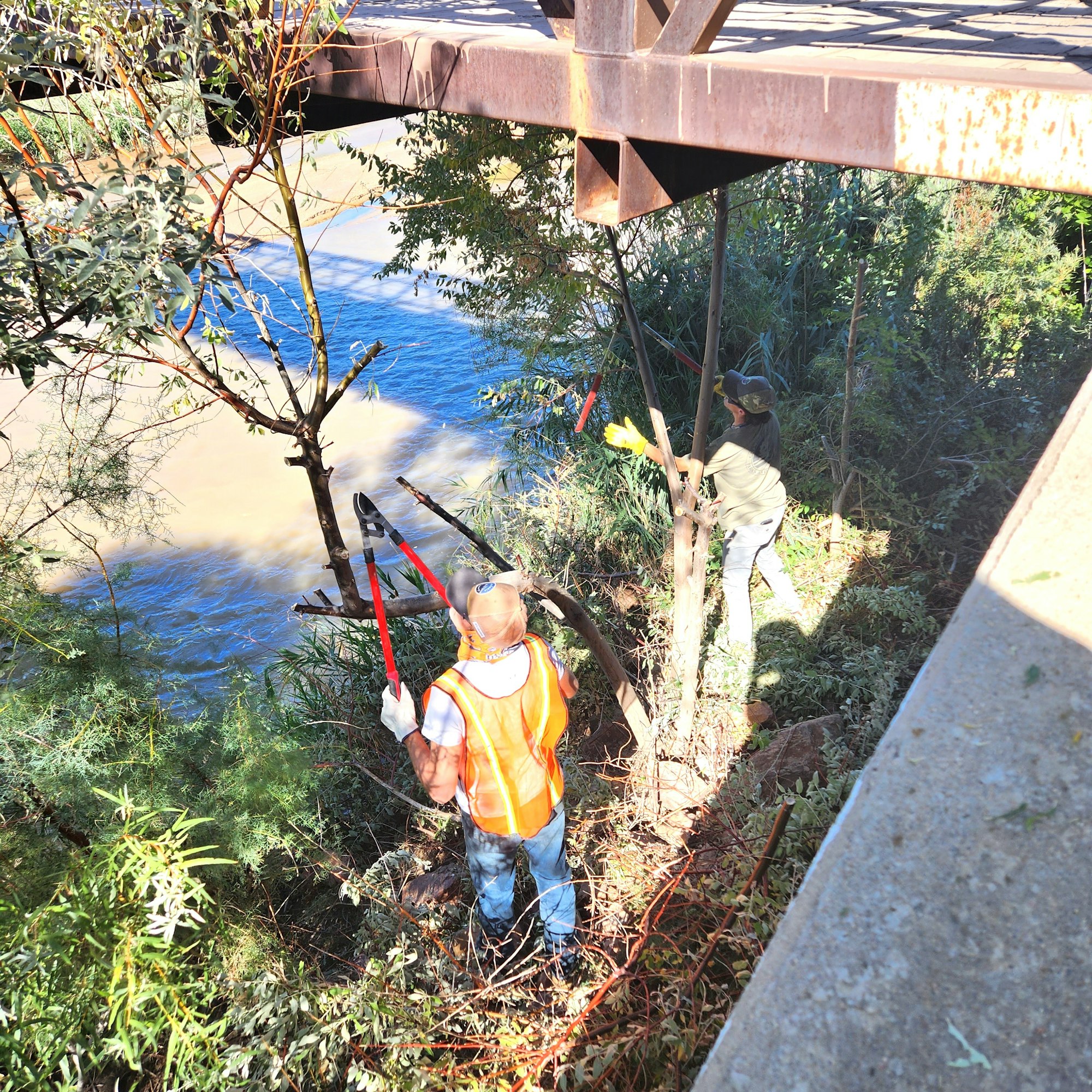 Two individuals trimming invasive Russian Olive trees near a steel bridge over a Fountain Creek.