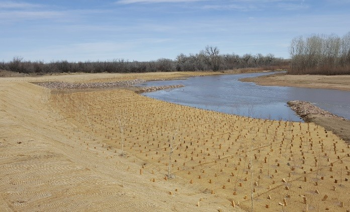 Restoration project on Fountain Creek