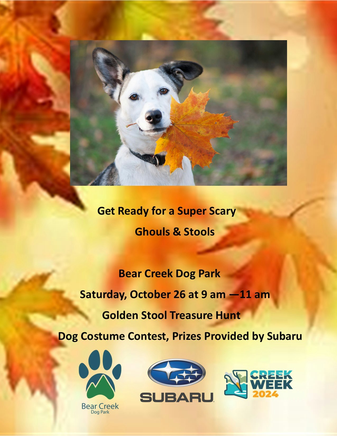 A flyer for a Halloween-themed event to clean up Bear Creek Dog Park with a dog holding a leaf, event details, and sponsor logos.