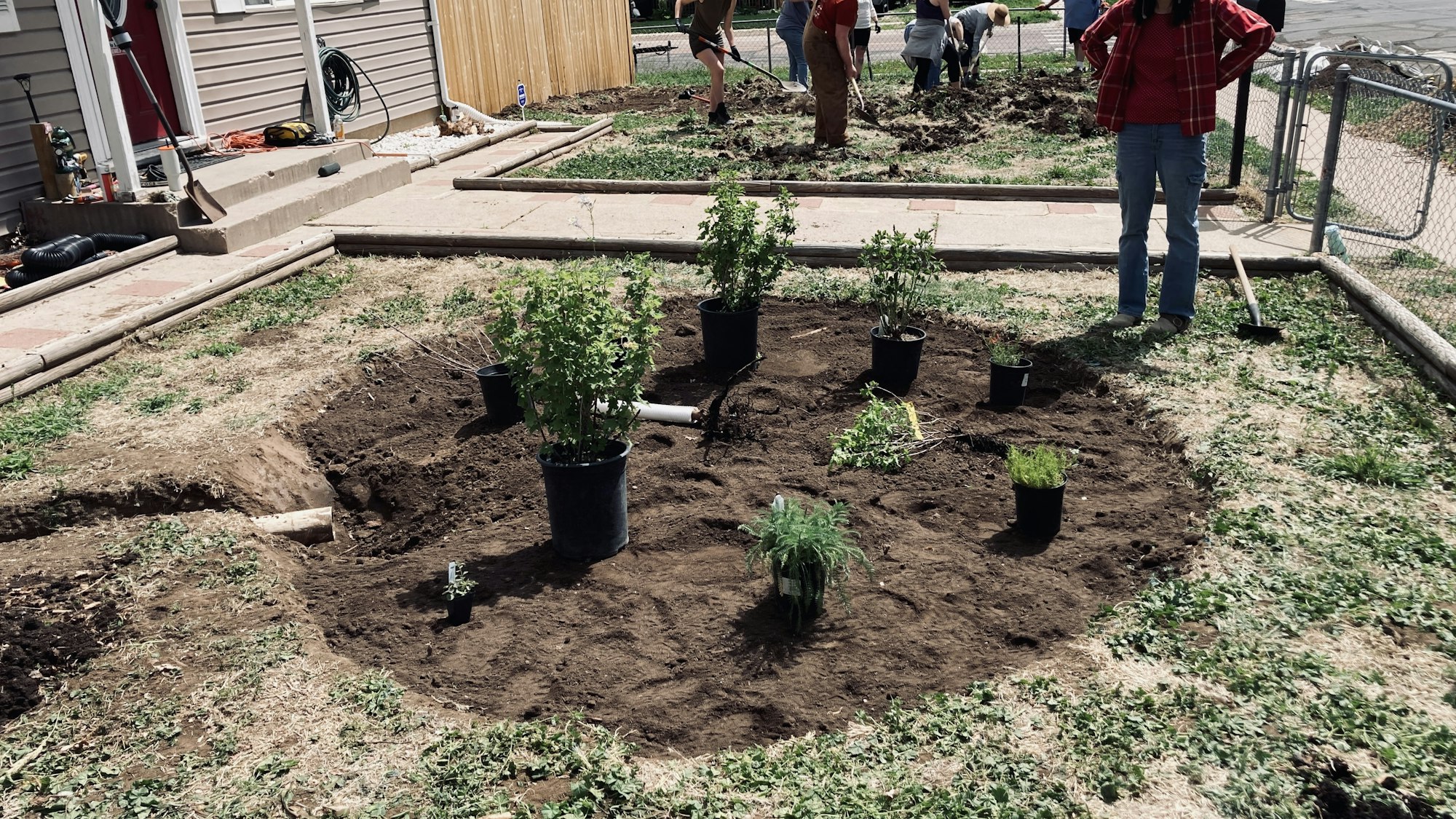 Image of people planting flowers and shrubs for a raingarden and food forest in a Stratton Meadows neighborhood