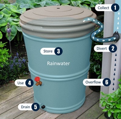 A labeled rainwater barrel system showing parts for collection, diversion, storage, usage, draining, and overflow.