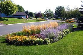 Rain Garden Photo