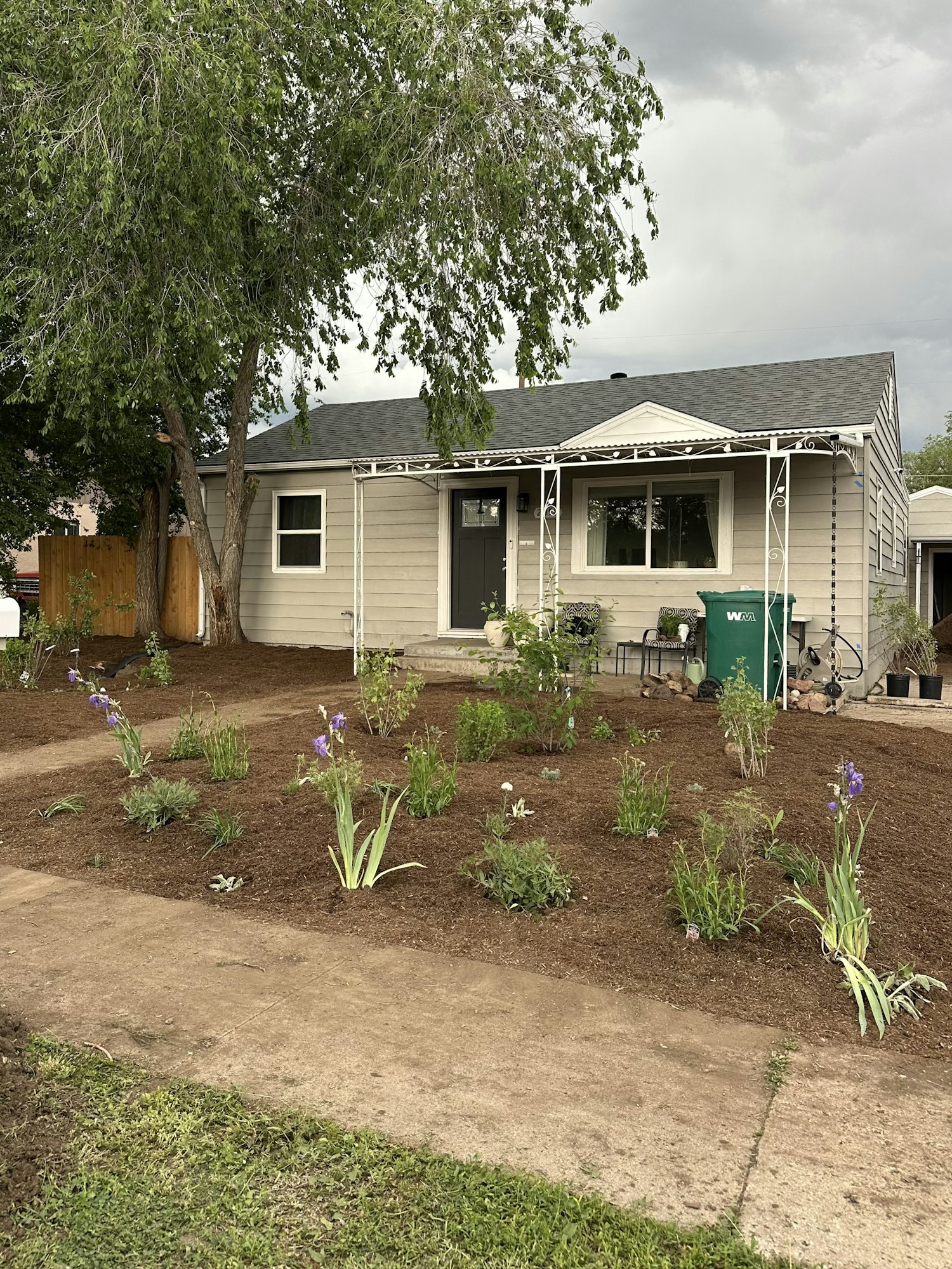 After installation of a residential raingarden; small house with a gray roof, a tree, and a freshly landscaped garden with various plants.
