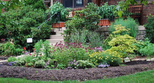 Rain Garden Photo