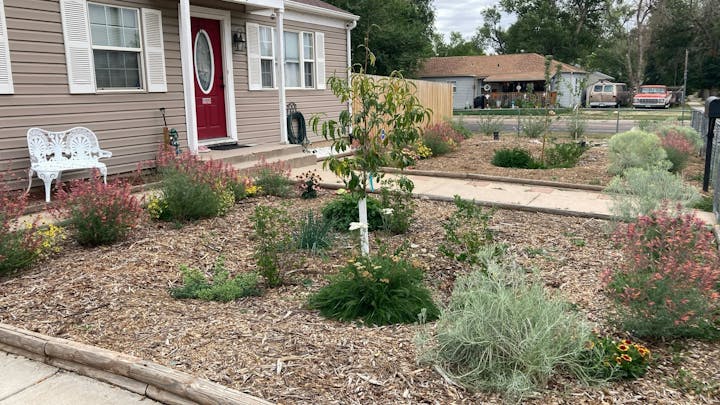 A garden with various plants and flowers in front of a house, featuring a decorative white bench and a red door.