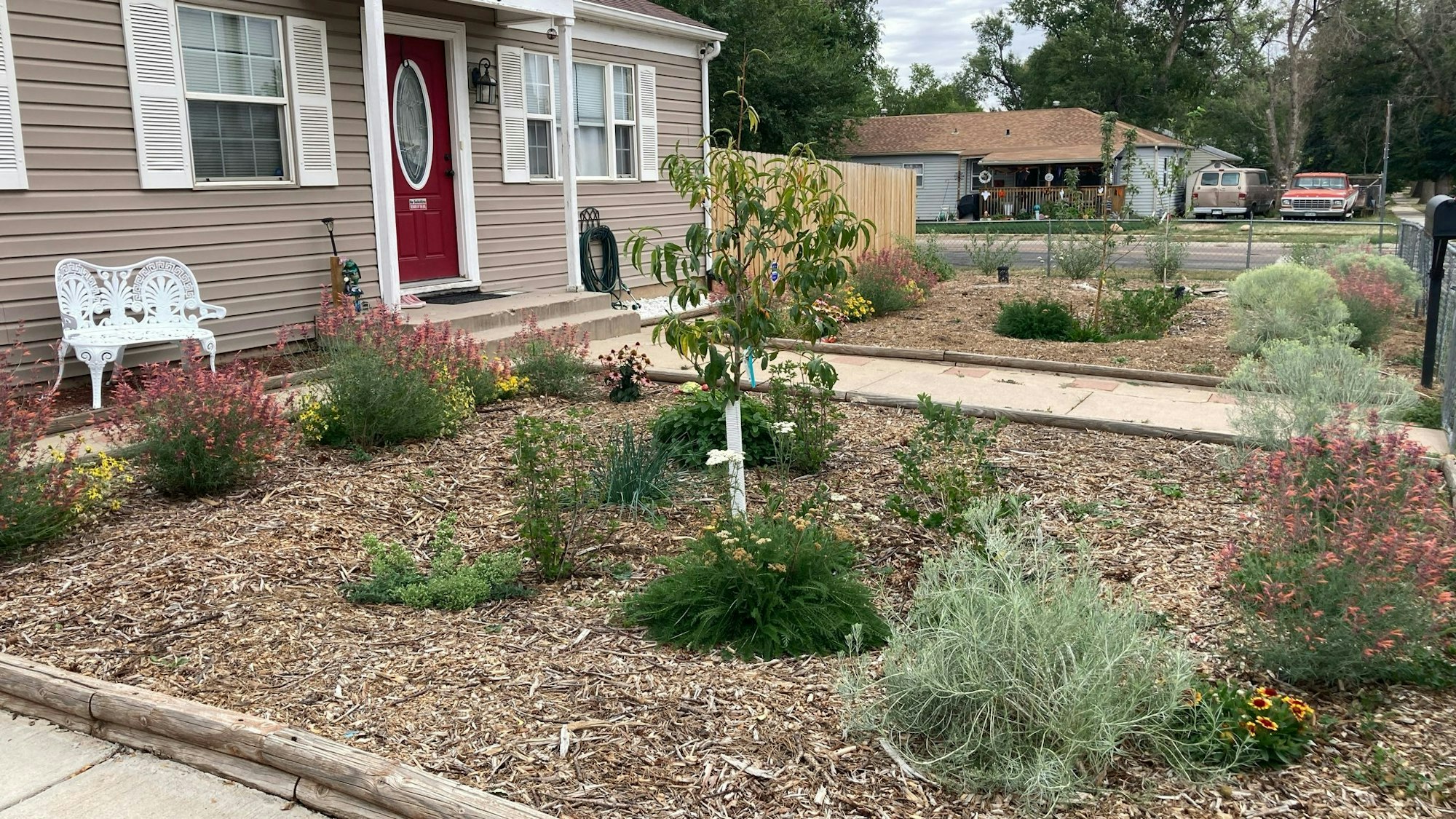 A garden with various plants and flowers in front of a house, featuring a decorative white bench and a red door.