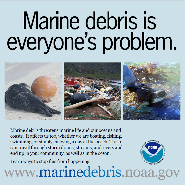 An awareness poster about marine debris, with images of pollution and affected wildlife.