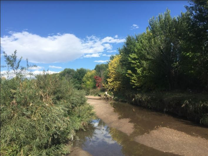 Nature Trail