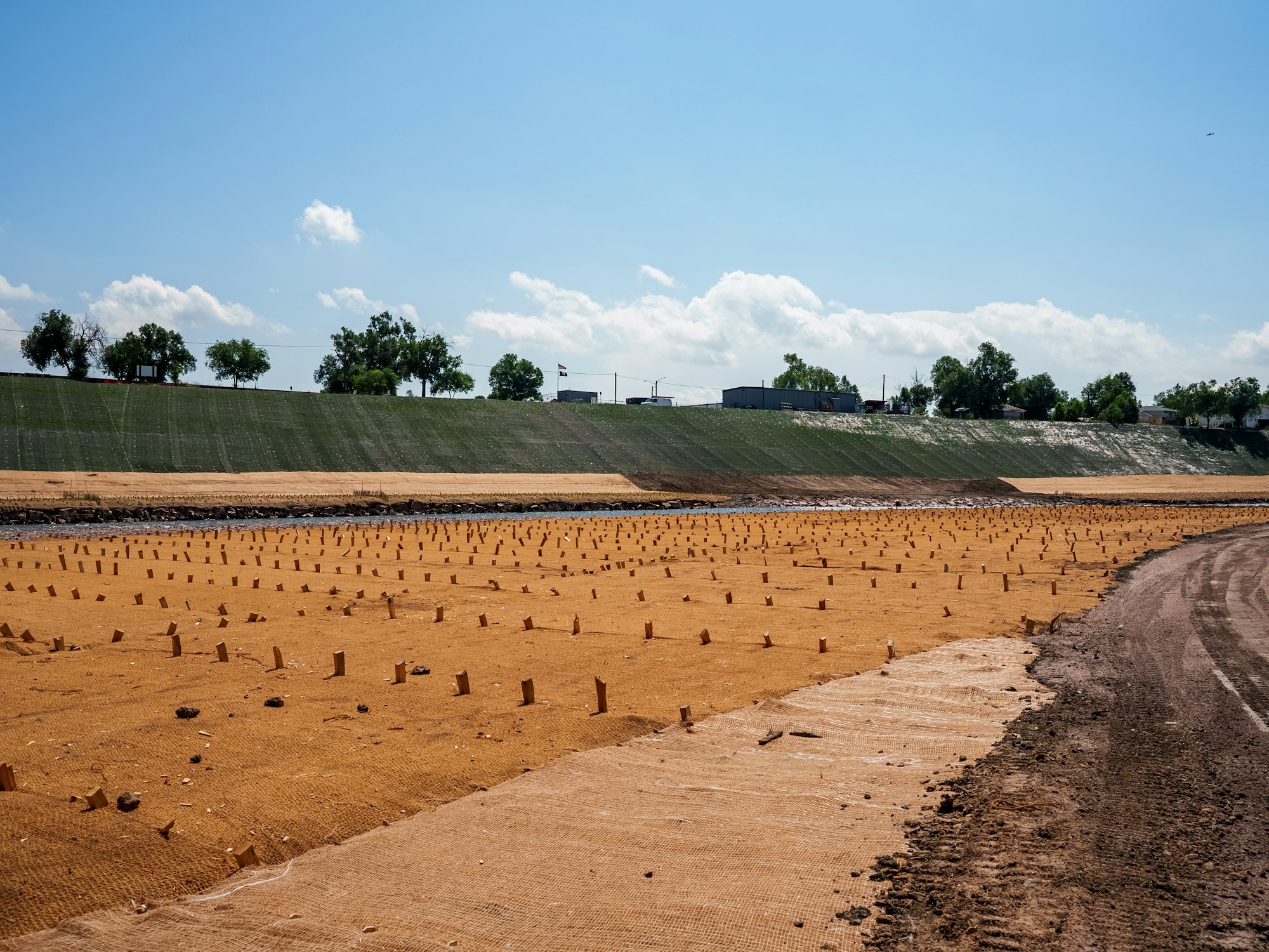 A riverbank with planted rows, green slope in background, clear sky, and some trees.