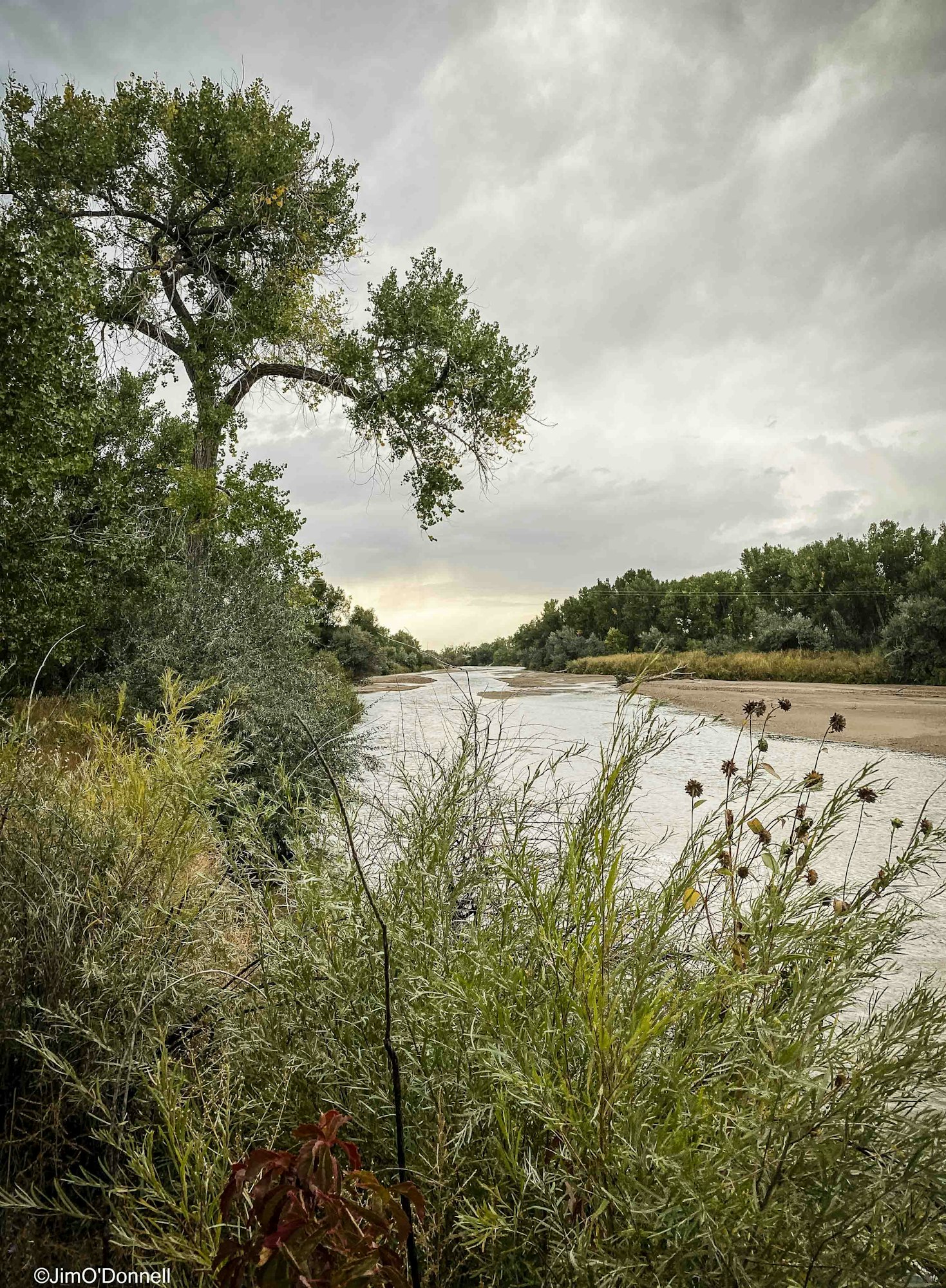 A peaceful riverside scene with greenery, a cloudy sky, and a meandering river surrounded by trees and plants.