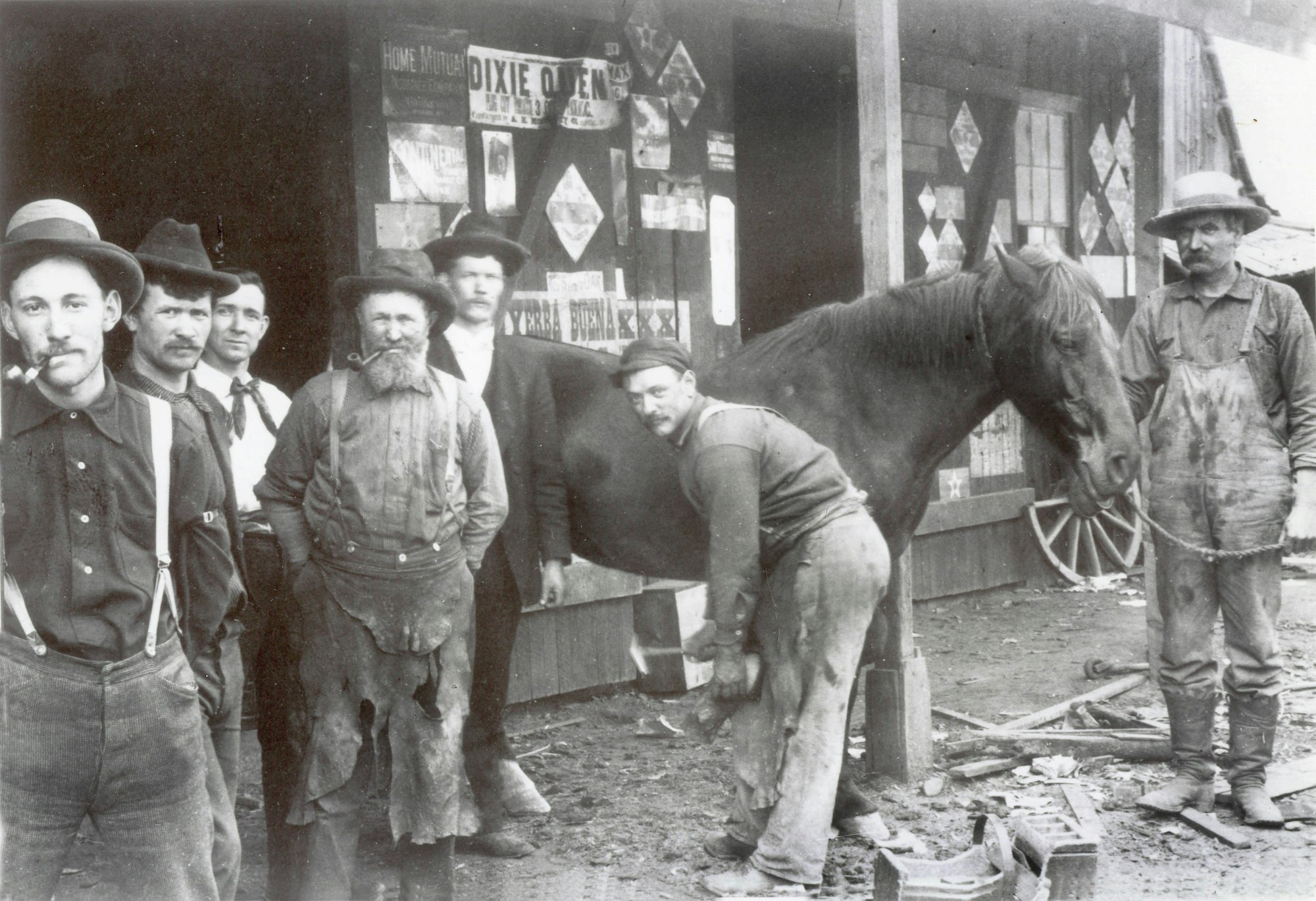 May contain: human, person, horse, animal, and mammal