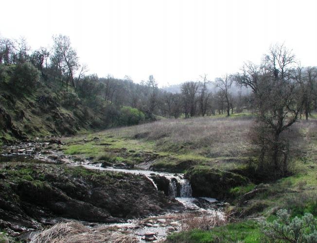 May contain: water, nature, outdoors, creek, stream, and land