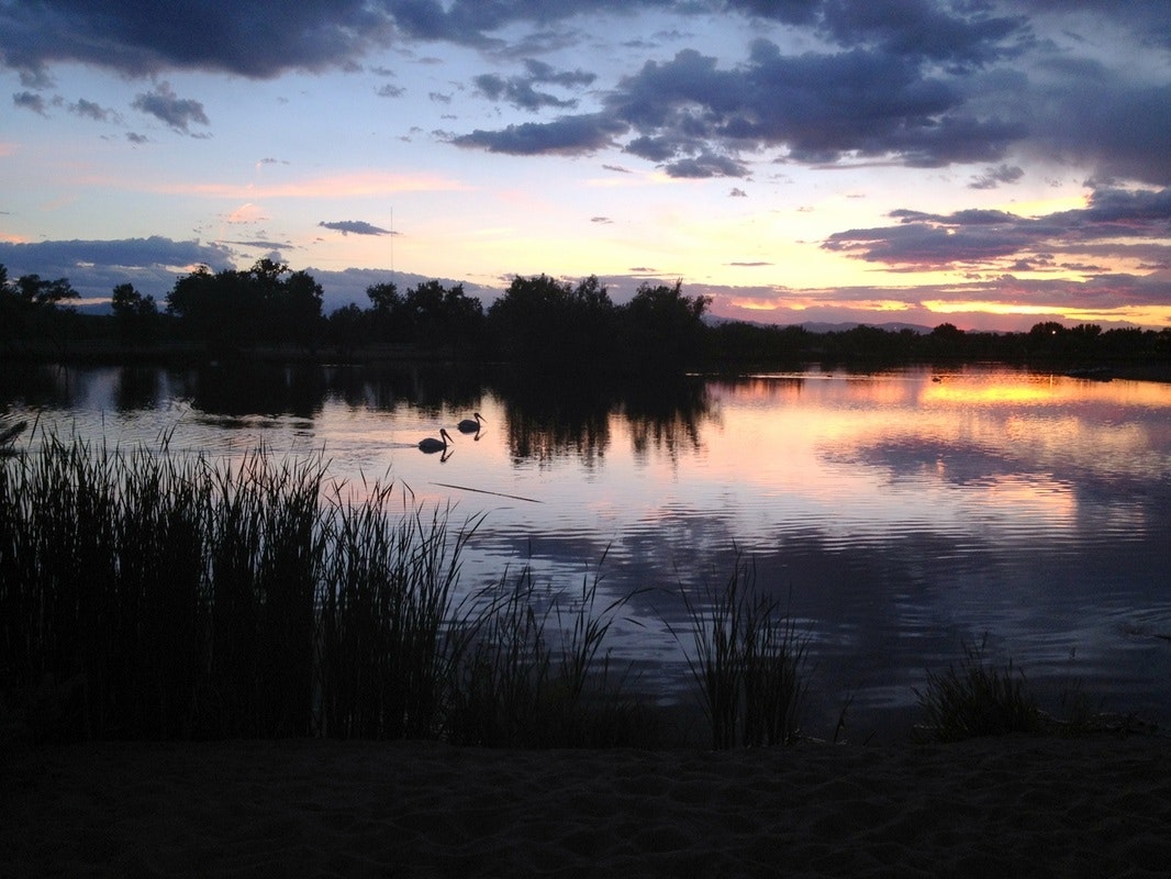 Sunset over a calm lake with two birds and dark silhouettes of reeds and trees.